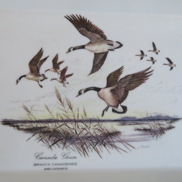 Canada Goose Mebel Italy Melamine Tray Vintage (K532) - Picture 3 of 8